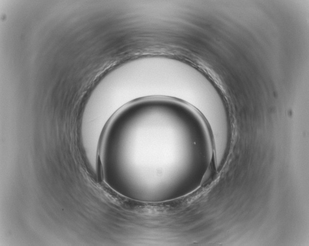 X0000087610305200705120000