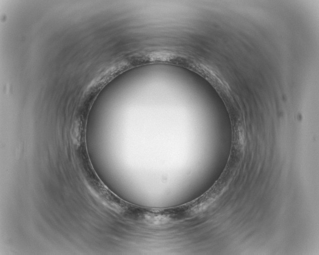 X0000087610311200705120000