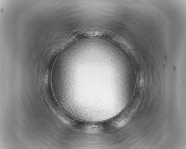 X0000087610315200705120000
