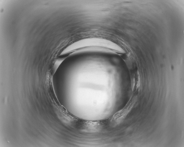 X0000087610333200705112359
