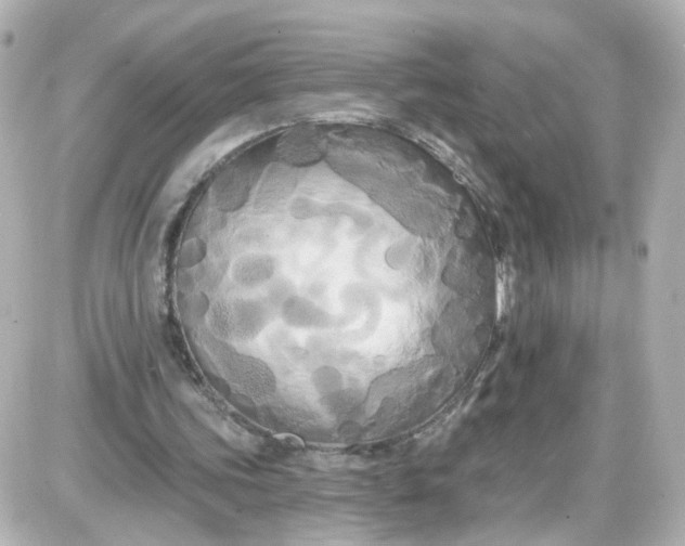 X0000087610339200705112359