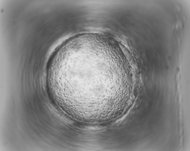 X0000087610342200705112359