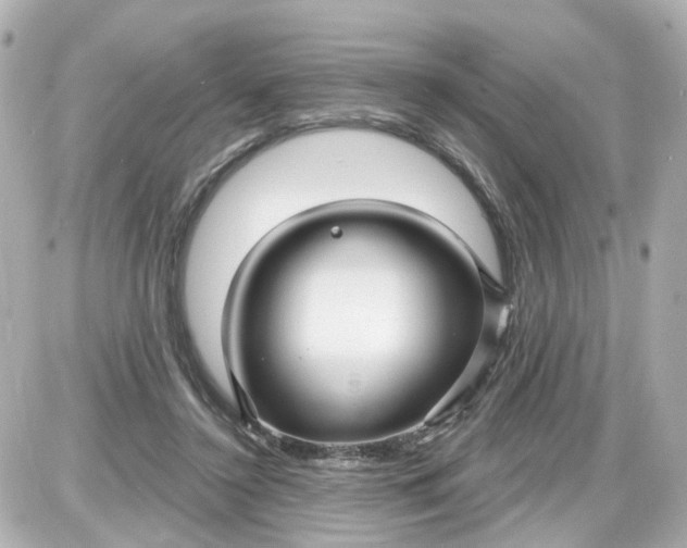 X0000087610356200705112359