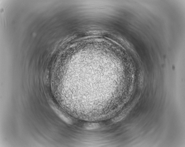 X0000087610361200705112359