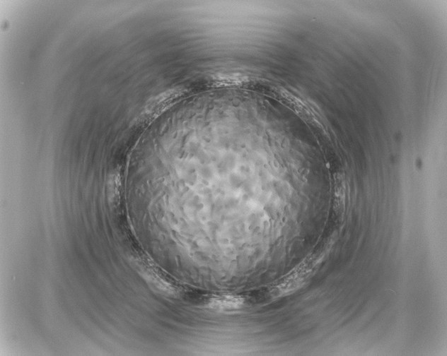 X0000087610369200705112359