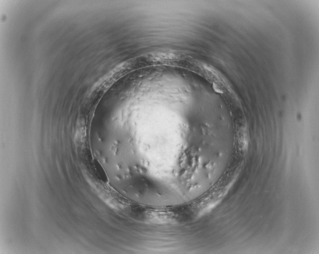 X0000087610372200705112359