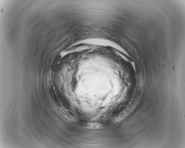 X0000087610376200705112359