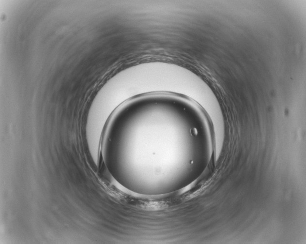 X0000087610382200705112359