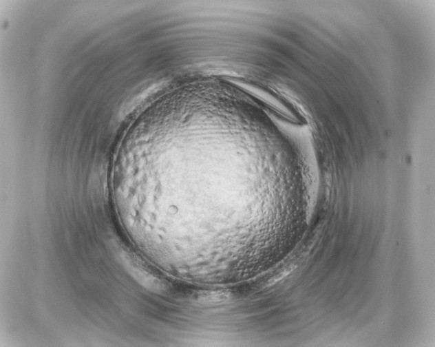 X0000087610398200705112358