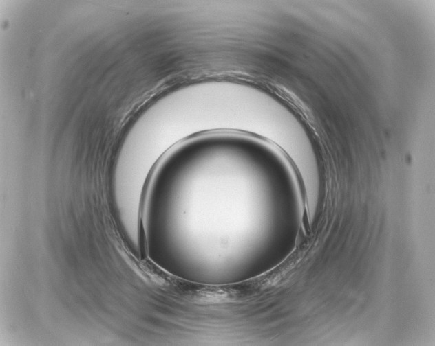X0000087610405200705112358