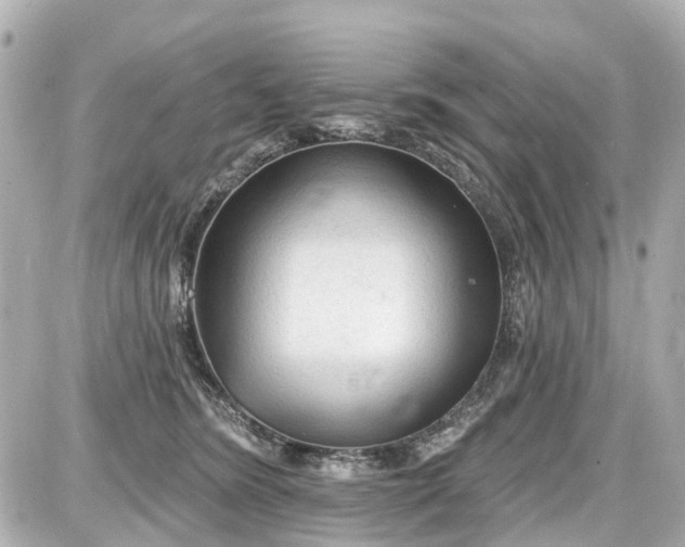 X0000087610420200705112358