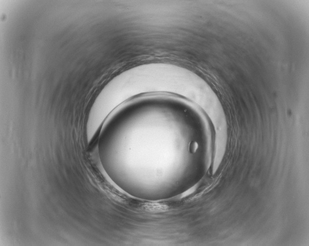 X0000087610429200705112358