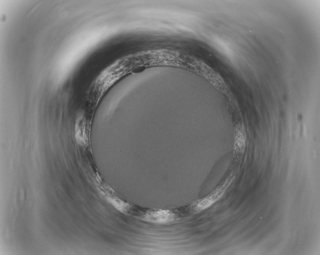 X0000087610431200705112358