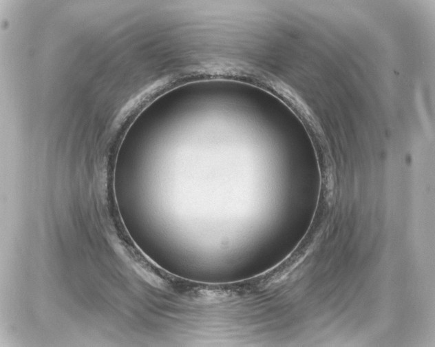 X0000087610442200705112357