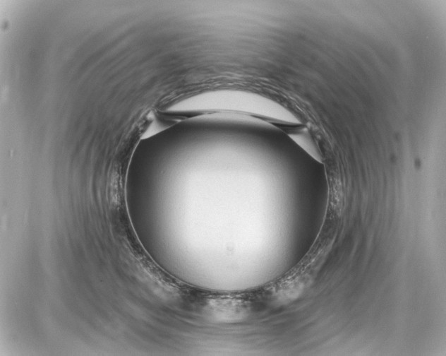 X0000087610470200705112358