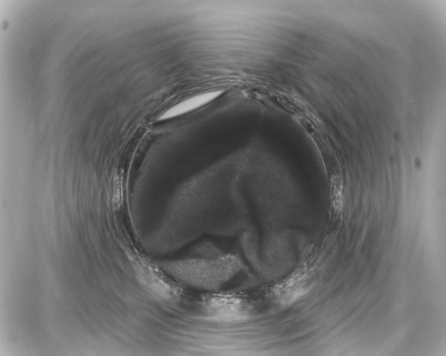 X0000087610471200705112358