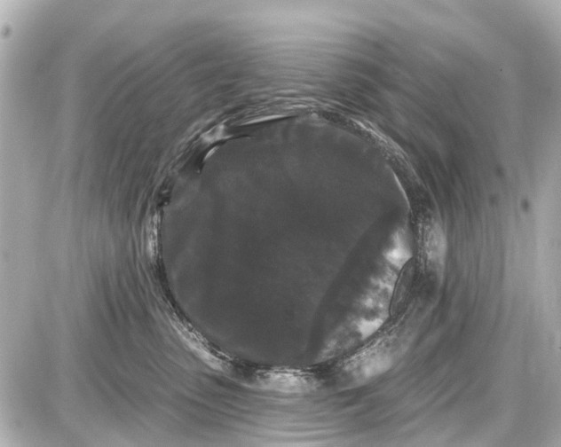 X0000087610475200705112358