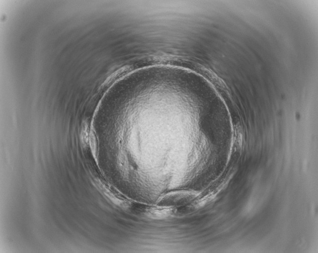 X0000087610479200705112358