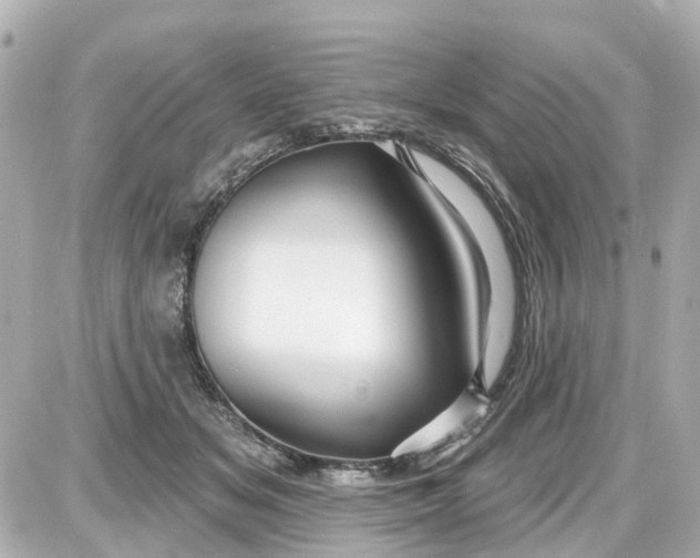 X0000087610509200705112357