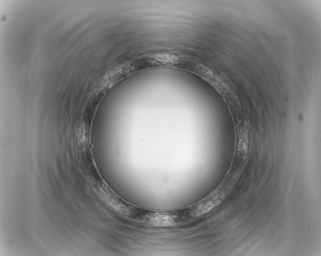 X0000087610518200705112356