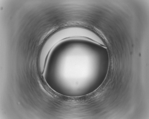 X0000087610538200705112356