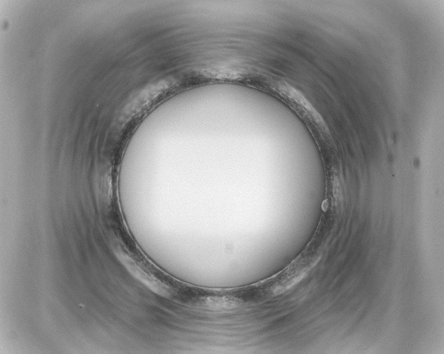 X0000087610541200705112356