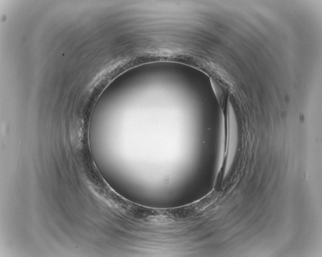 X0000087610544200705112356