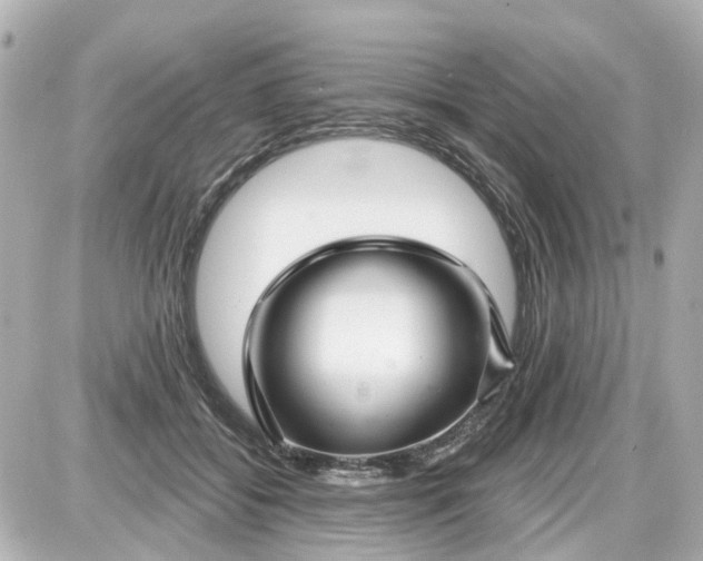X0000087610556200705112356