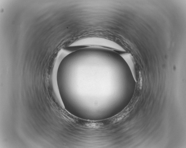 X0000087610558200705112356