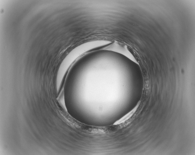 X0000087610572200705112356