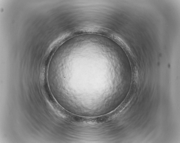 X0000087610586200705112355