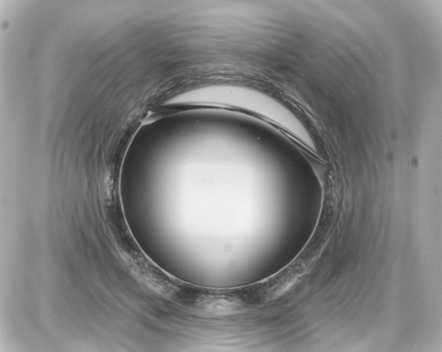 X0000087610597200705112355