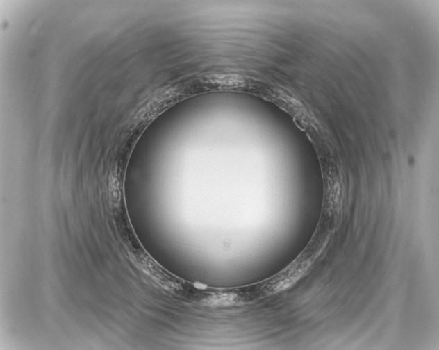 X0000087610609200705112355