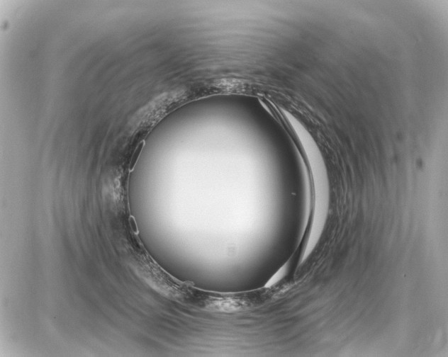 X0000087610611200705112355