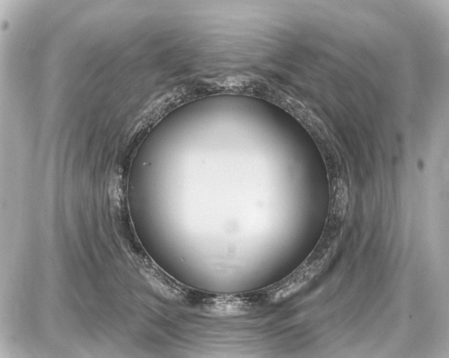 X0000087610612200705112355