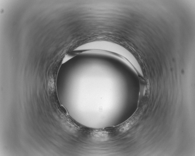 X0000087610617200705112355