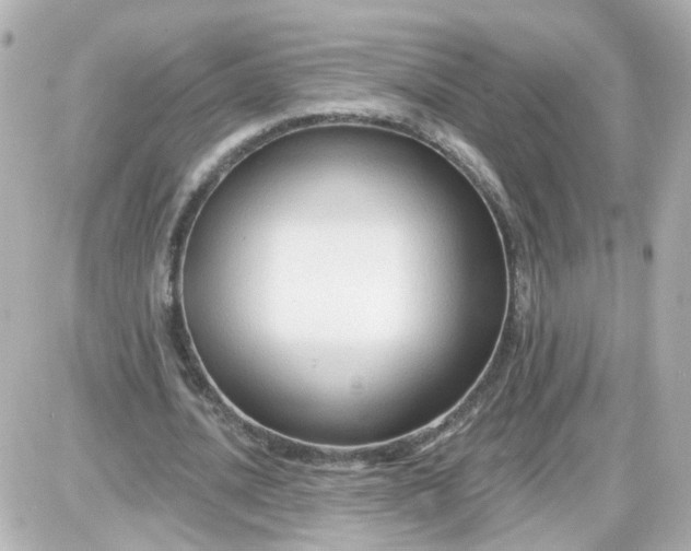 X0000087610628200705112354
