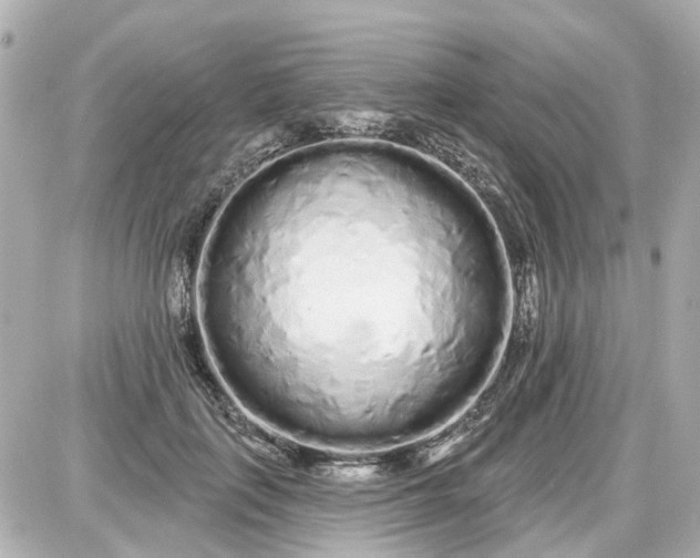 X0000087610651200705112354