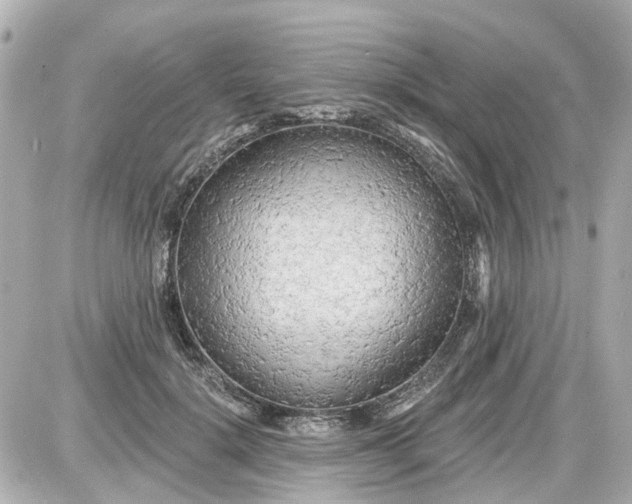 X0000087610652200705112354