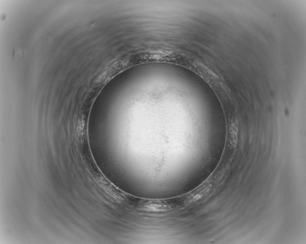 X0000087610657200705112354