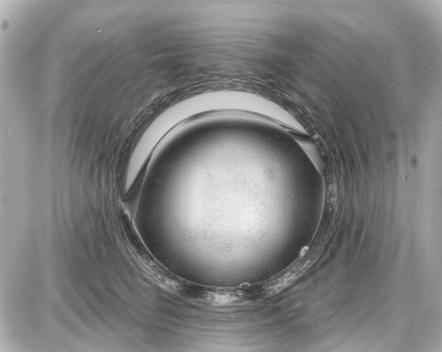 X0000087610662200705112354