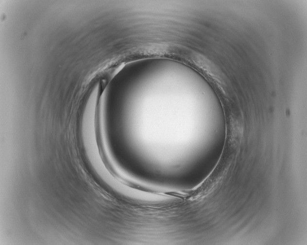 X0000087610681200705112354