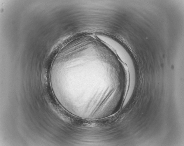 X0000087610688200705112354