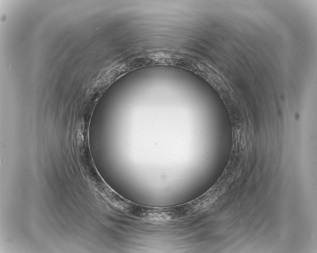 X0000087610702200705112353