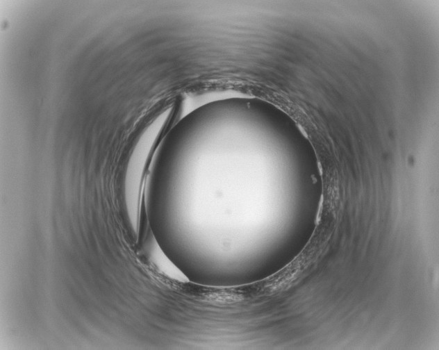 X0000087610708200705112353