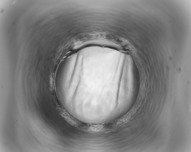 X0000087610720200705112353