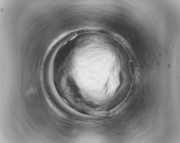 X0000087610726200705112352