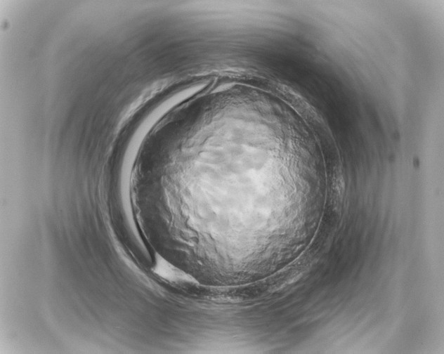 X0000087610734200705112353