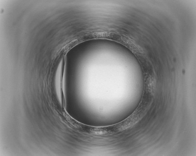 X0000087610746200705112353