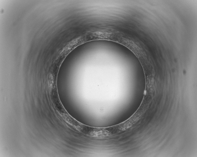 X0000087610752200705112353